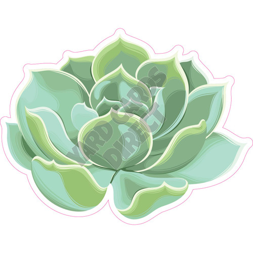 Succulents  - Style F - Yard Card