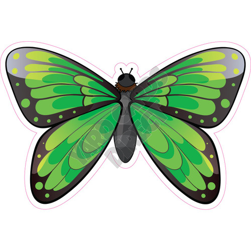 Butterfly - Light Green - Style A - Yard Card