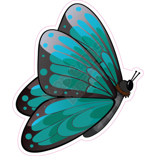Butterfly - Teal - Style B - Yard Card