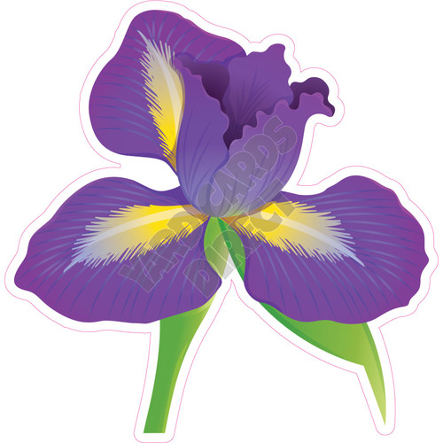 Iris - Solid Purple - Style A - Yard Card