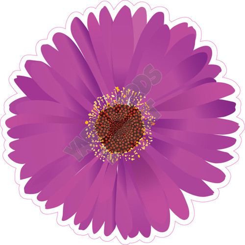 Daisy - Purple - Style B - Yard Card