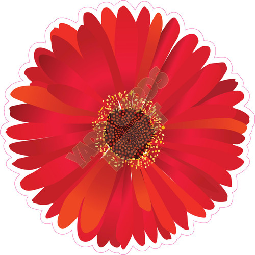 Daisy - Red - Style B - Yard Card