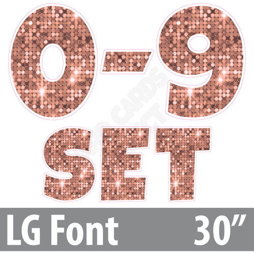 LG 30" 13pc 0-9 - Set - Large Sequin Rose Gold - Yard Cards