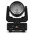 Chauvet DJ Sentinel Wash Q120 Moving Head Light 120W RGBW