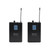 W Audio DTM 800 V2 Dual Twin Bodypack & Headset Wireless Radio Microphone System Rack Mount