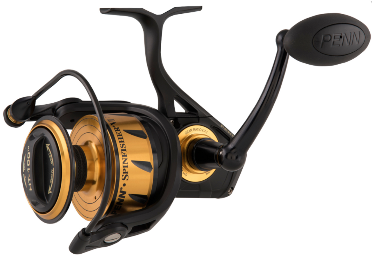 https://cdn11.bigcommerce.com/s-s7ib93jl4n/images/stencil/1280x1280/products/46535/56982/SSVI4500-penn-spinfisher-VI-spinning-reel-black-gold-b__31516.1647882276.png?c=2?imbypass=on