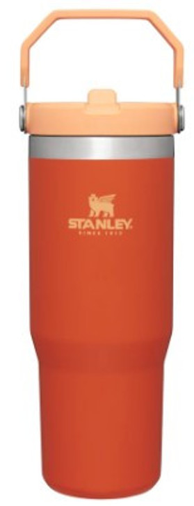 Stanley IceFlow Flip Straw Tumbler 30 oz - Tigerlily