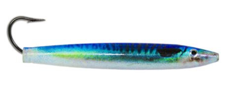Blue Mackerel