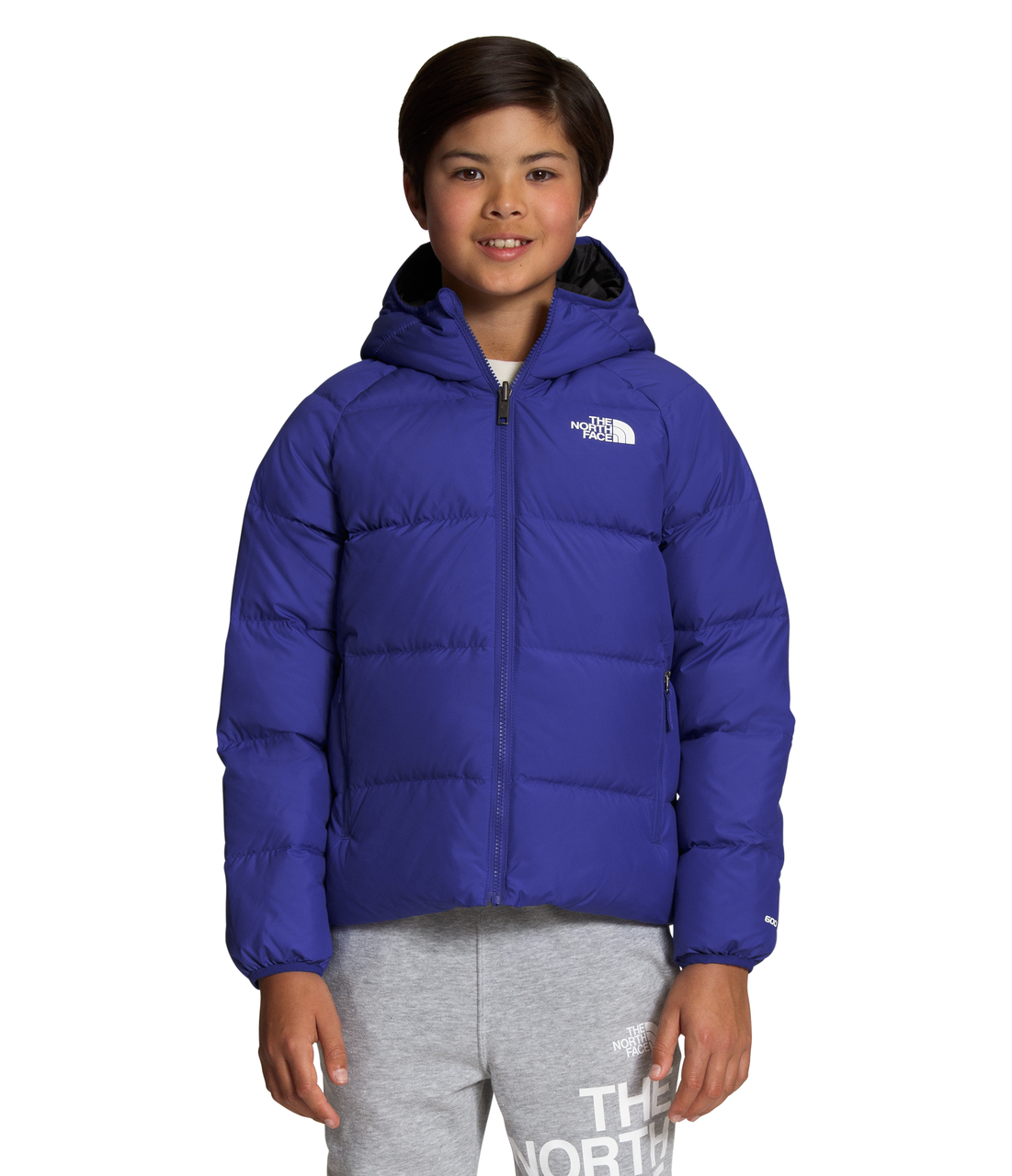 THE NORTH FACE boys Baby Girls Reversible North Down Hooded Vest (Little  Kids/Big Kids)