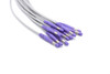 Welch Allyn EKG Compatible Leadwire  10 Leads - Banana