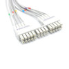 Mortara Burdick 929304150 EKG Compatible Leadwire 10 Leads - Banana 