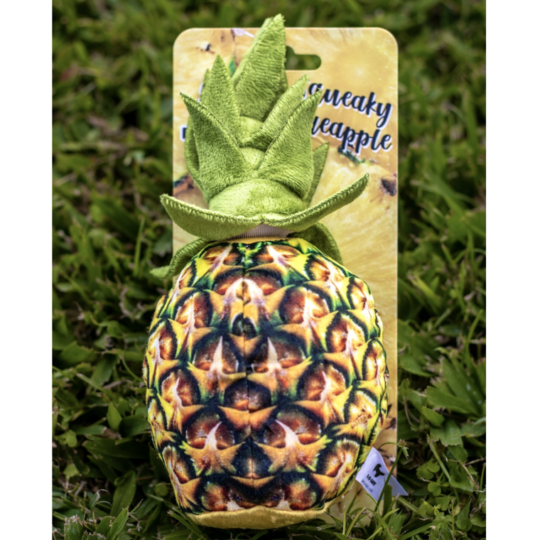 2-in-1 Squeaky Pineapple Dog Toy