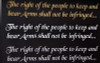 Gold, white, and silver text on black background: "The right of the people to keep and bear Arms shall not be infringed...