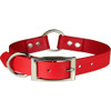 Red dog collar with silver buckle and ring; close-up shot.