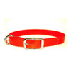 Orange Biothane dog collar with silver buckle and D-ring.