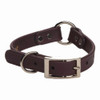 Brown leather dog collar with silver hardware, close-up shot.