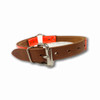 Brown leather dog collar with orange reflective strip, metal buckle.