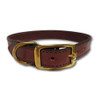 Chestnut brown leather dog collar with brass hardware.