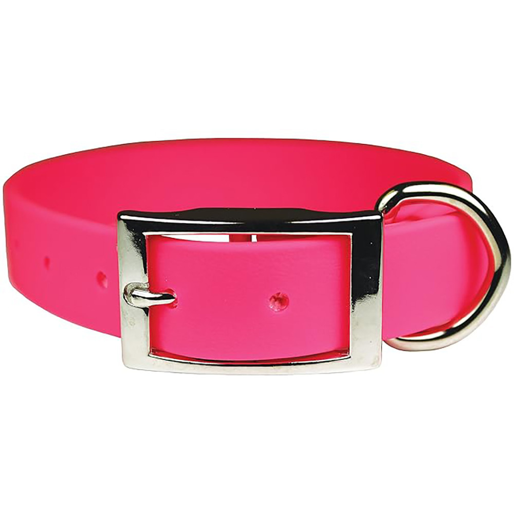 Pink dog collar with silver buckle and D-ring, rubber material, close-up shot.