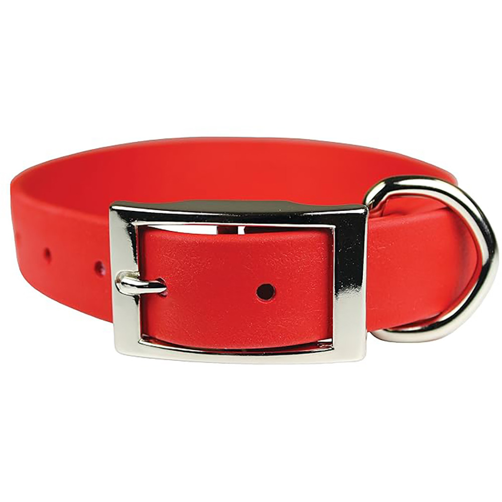 Red dog collar with silver buckle and D-ring.