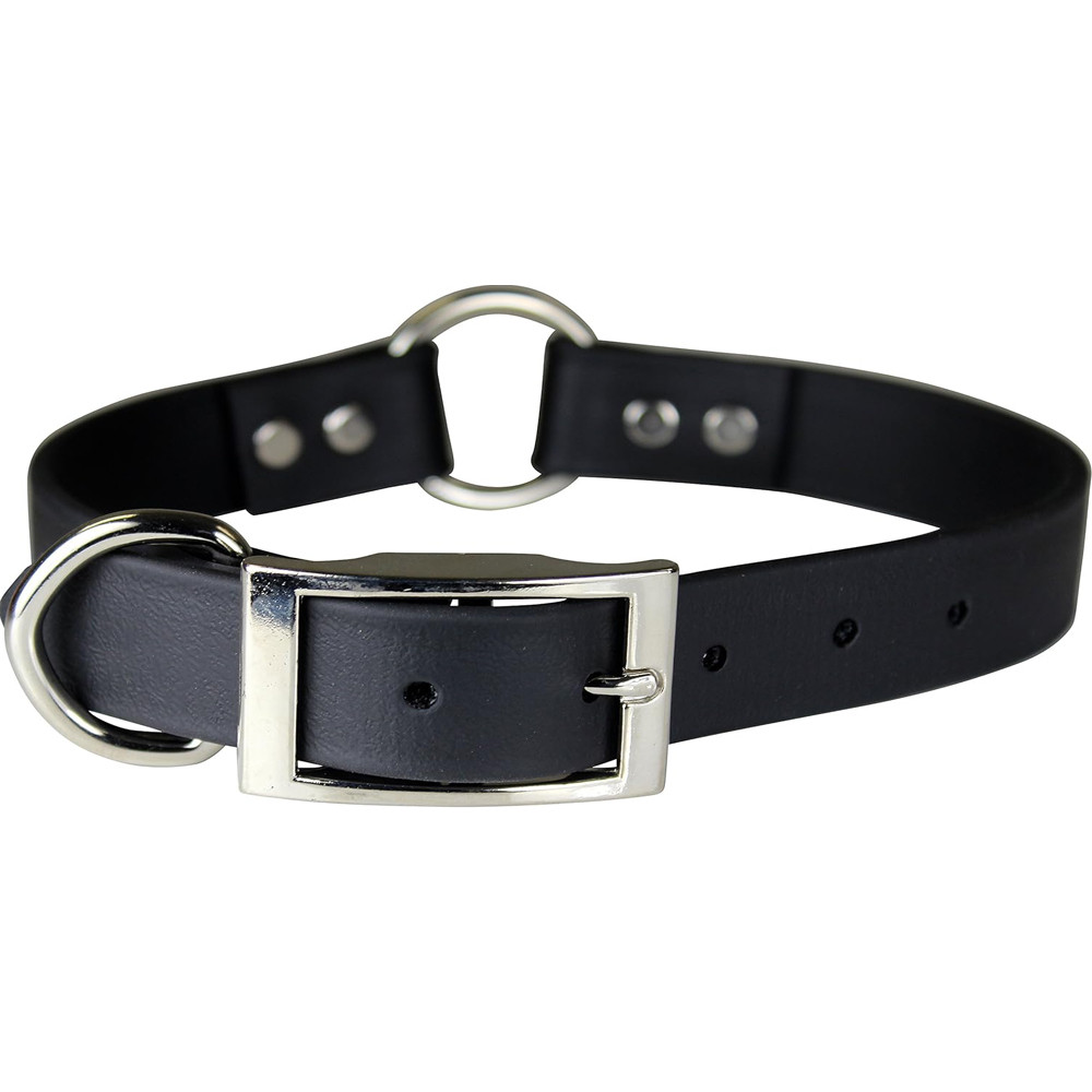 Black dog collar with silver buckle and ring; made of rubber or similar material.