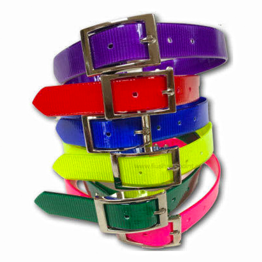 Stack of colorful Omnipet SunGlo dog collars: purple, red, blue, yellow, green, and pink; nickel buckles.