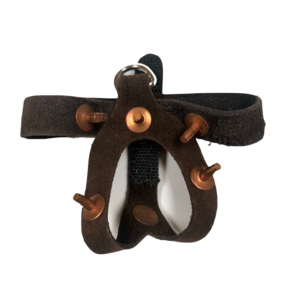 Brown suede quail harness with copper spikes and velcro closure.