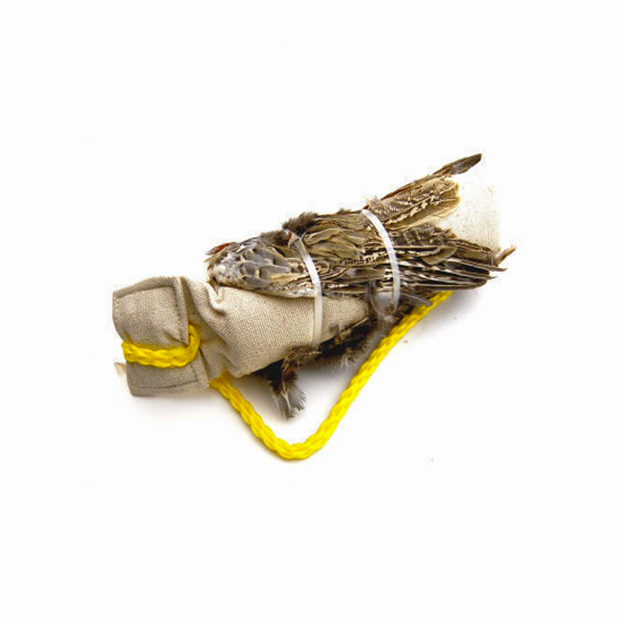 Classic T Designs Wild Wing Dummy