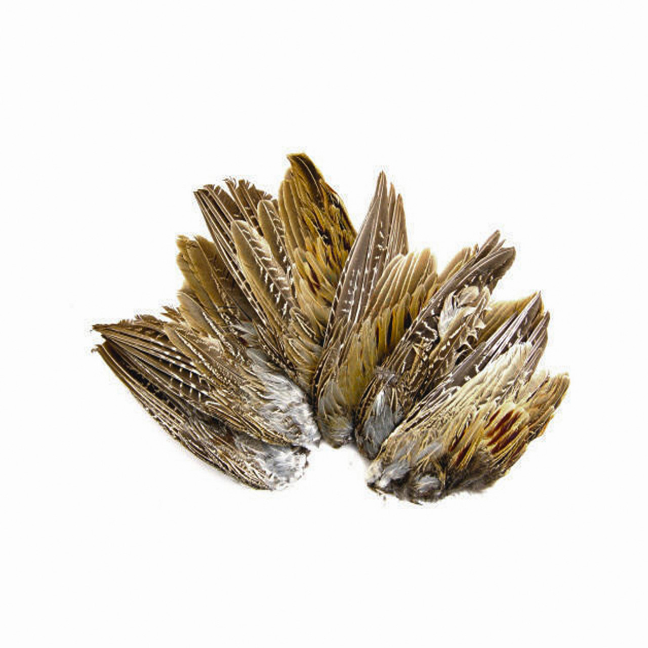 Classic T Designs Grouse Training Wings-2 pack