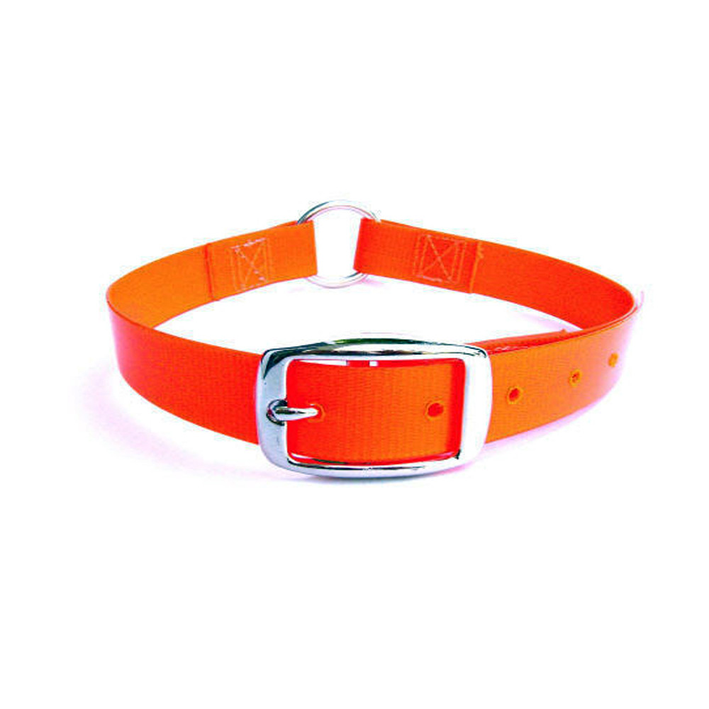 Blaze orange dog collar with a silver buckle and center ring.
