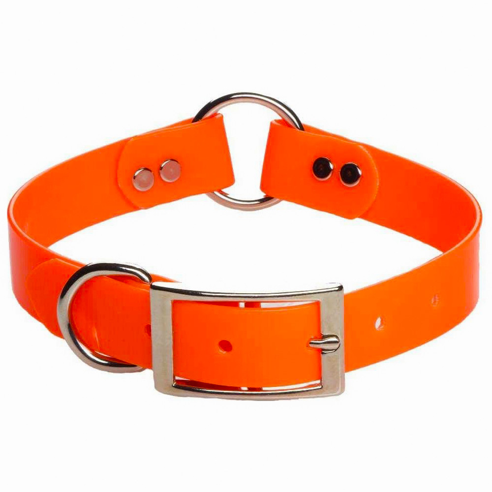 Bright orange dog collar with silver hardware; polymer material.