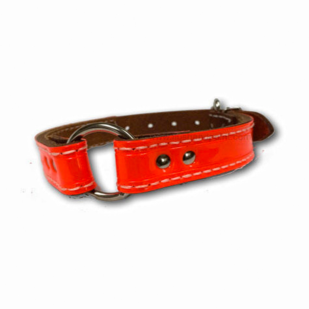 Bright orange leather dog collar with reflective strip and silver hardware.