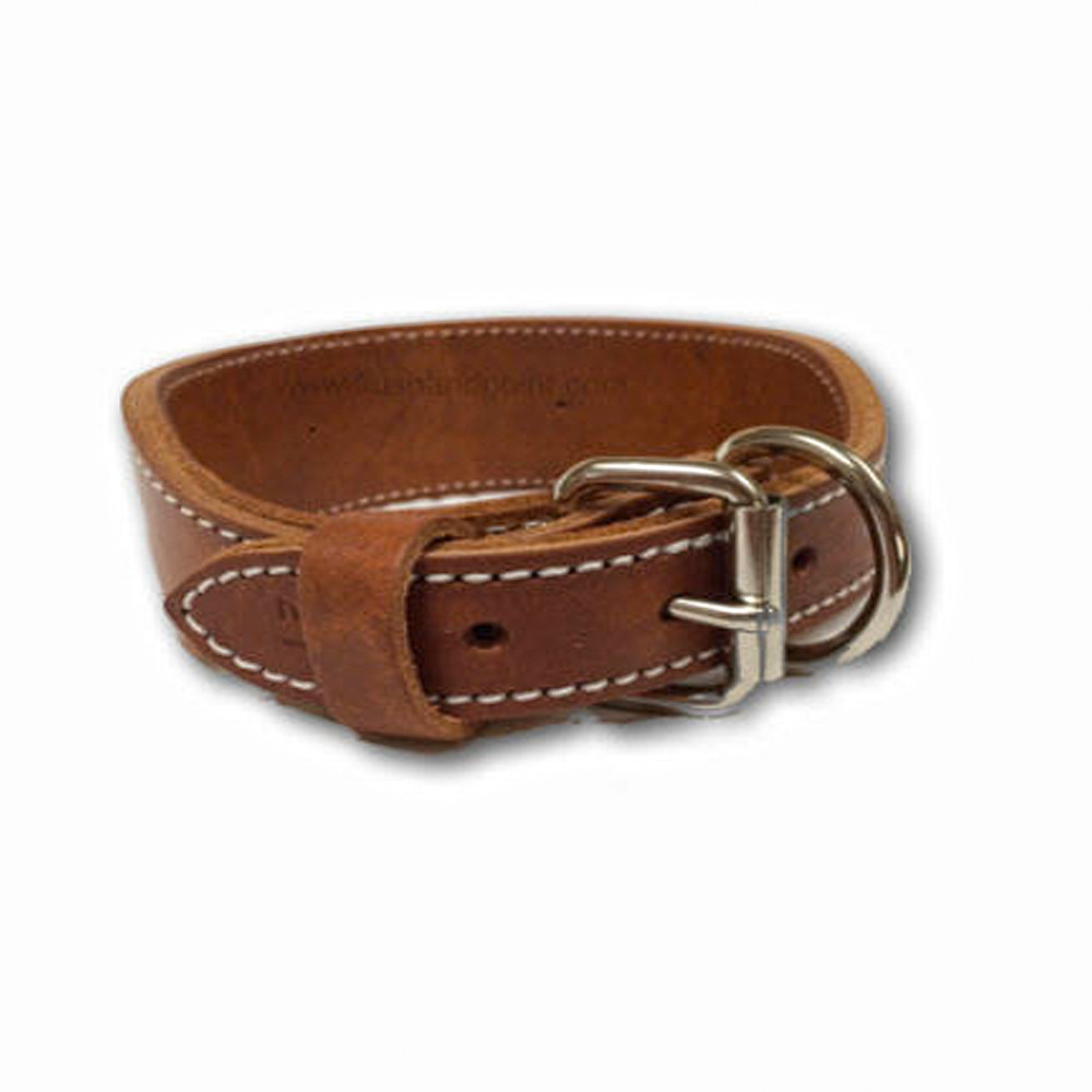 Brown leather dog collar with white stitching and silver hardware.