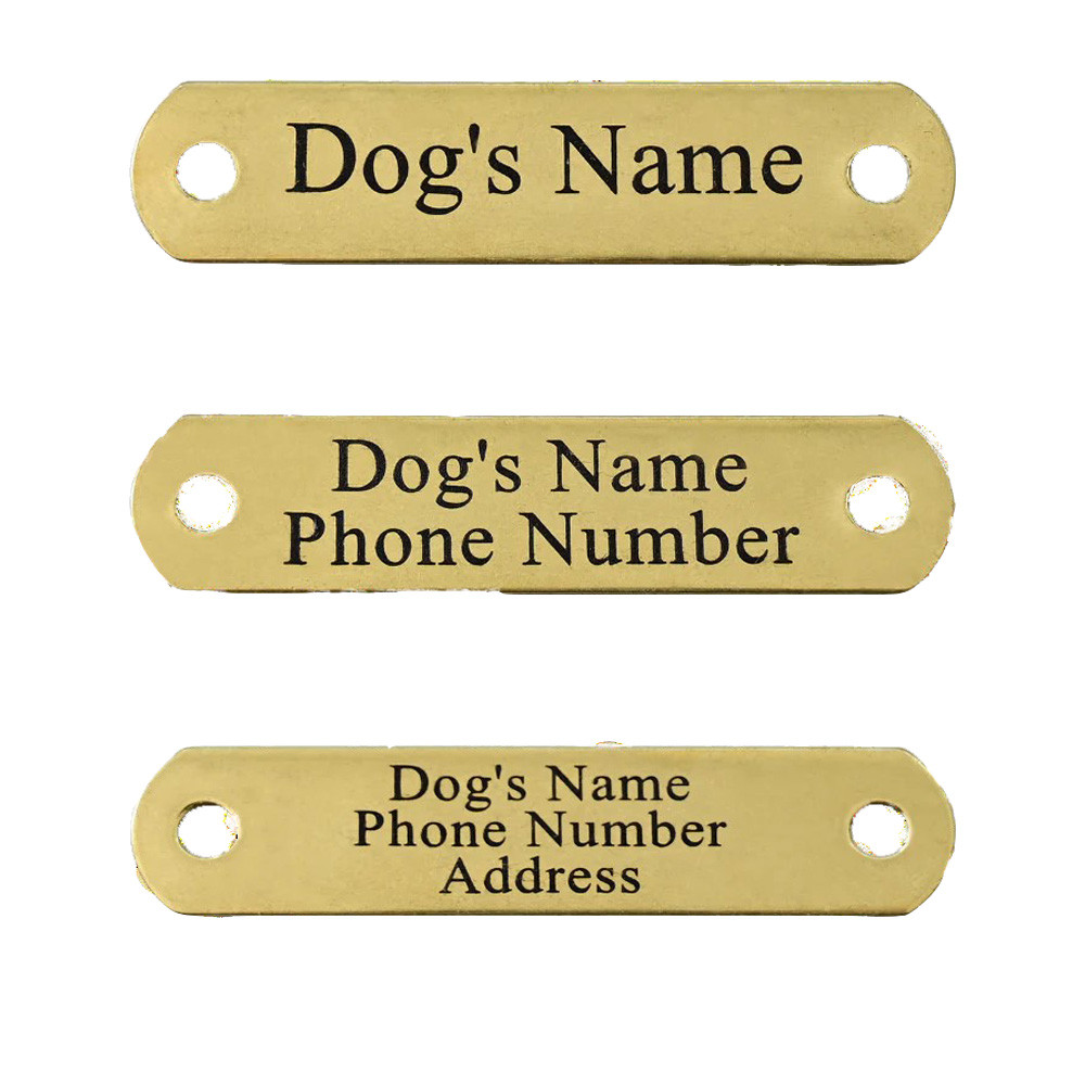 Three brass dog tags with engraved text: "Dog's Name," "Dog's Name Phone Number," and "Dog's Name Phone Number Address.