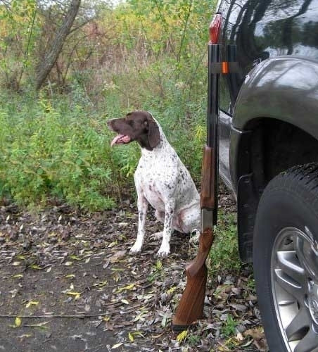 Black gun caddy holding a shotgun next to a car, dog in the background.
