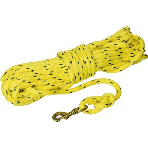 Yellow dog training check cord with black flecks, brass clasp, and knotted loop.