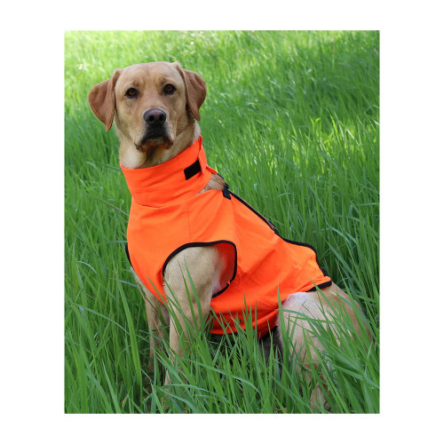 Orange dog vest, black trim, on a yellow lab in tall green grass.
