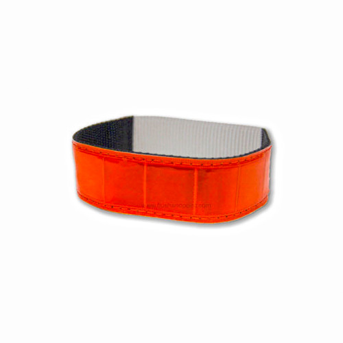 Bright orange reflective field trial band, black and white interior, close-up.