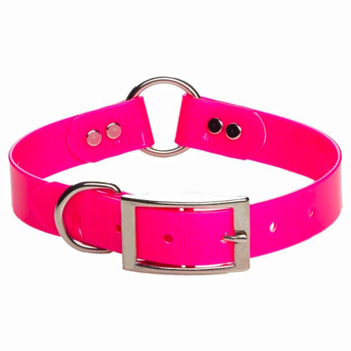 Bright pink polymer dog collar with metal hardware, ring, and buckle.