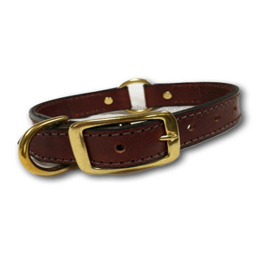 Brown leather dog collar with brass hardware, center ring, and buckle.