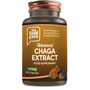 Chaga Mushroom Extract