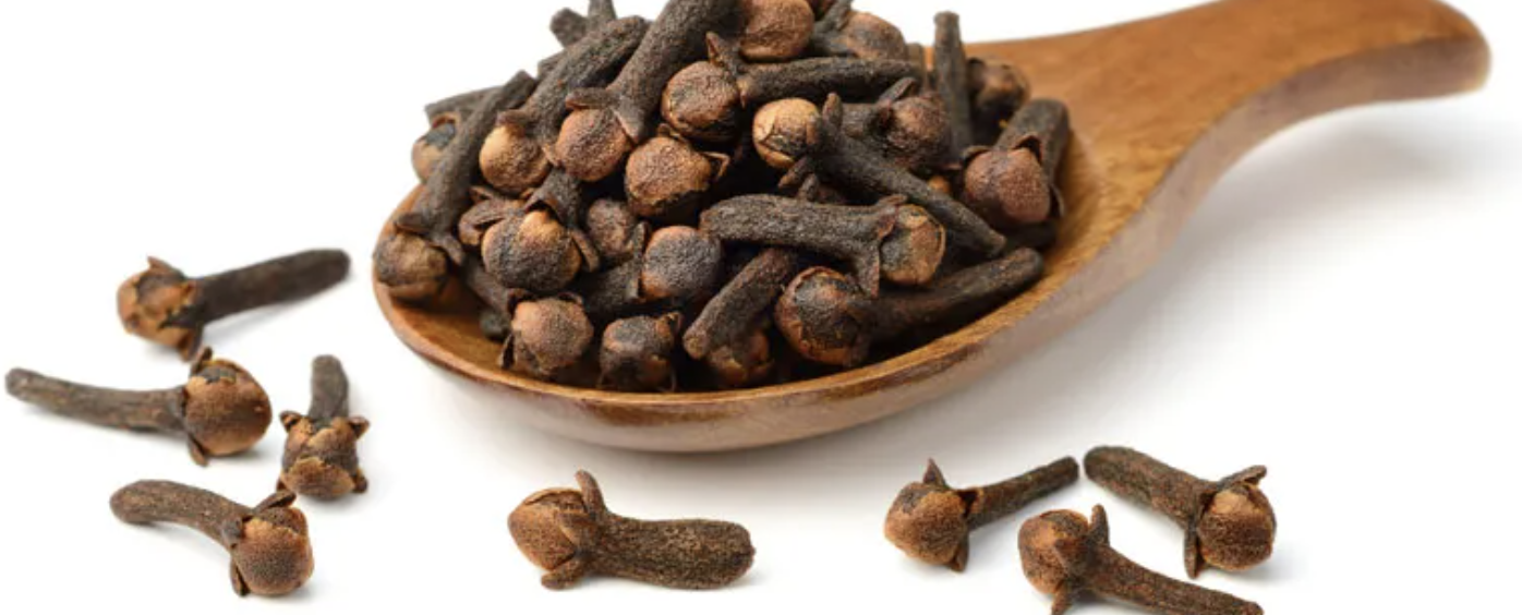 Plants and Health Benefits Clove Bud