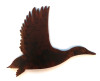 Duck Magnet