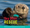 Sea Otter Rescue