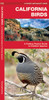 California Birds