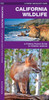 California Wildlife