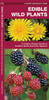 Edible Wild Plants