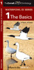 Cornell Lab of Ornithology Waterfowl ID: #1 The Basics