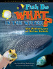 Fish Do WHAT in the Water? The Secret Lives of Marine Animals