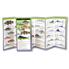 Fishes of the Florida Keys (Folding Guides)